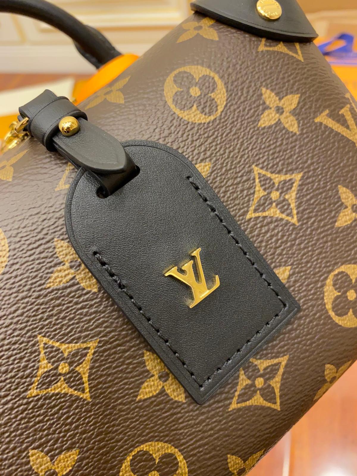 Sacs à poignée Louis Vuitton 20cm brun